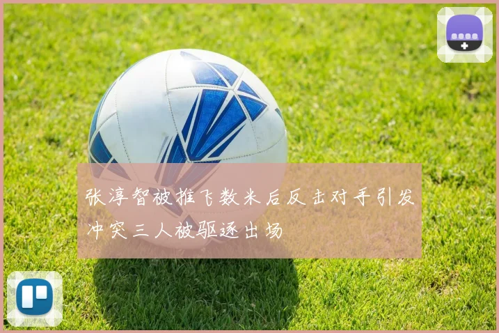 张淳智被推飞数米后反击对手引发冲突三人被驱逐出场