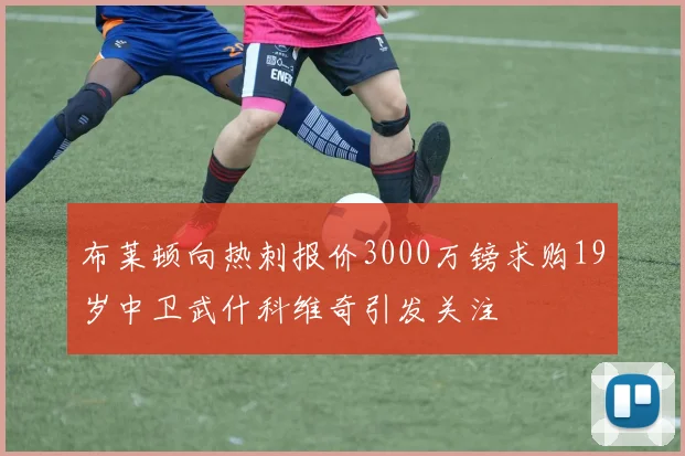 布莱顿向热刺报价3000万镑求购19岁中卫武什科维奇引发关注