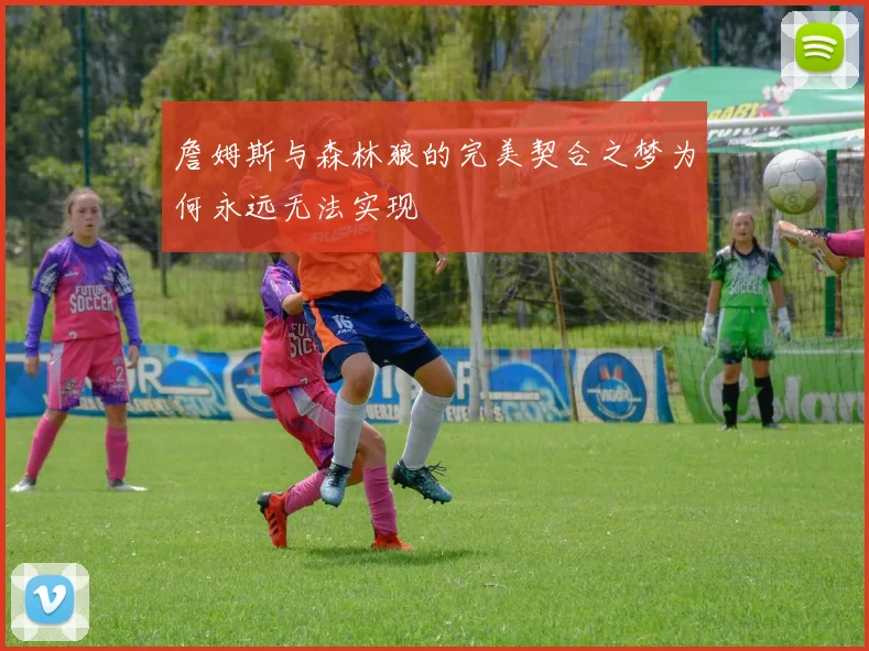 詹姆斯与森林狼的完美契合之梦为何永远无法实现